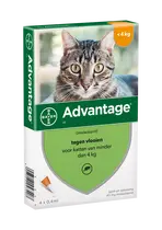 Advantage kat 40 tot 4 kg 4 pipetten