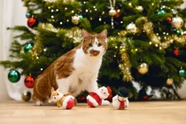 Beeztees kerstwobbler kattenspeelgoed - afbeelding 2