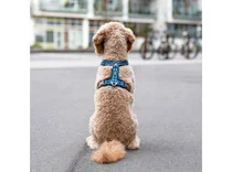 Dog Copenhagen comfort walk air harness small ocean blue - afbeelding 5