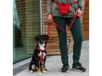 Dog Copenhagen comfort walk air harness x-small classic red - afbeelding 6