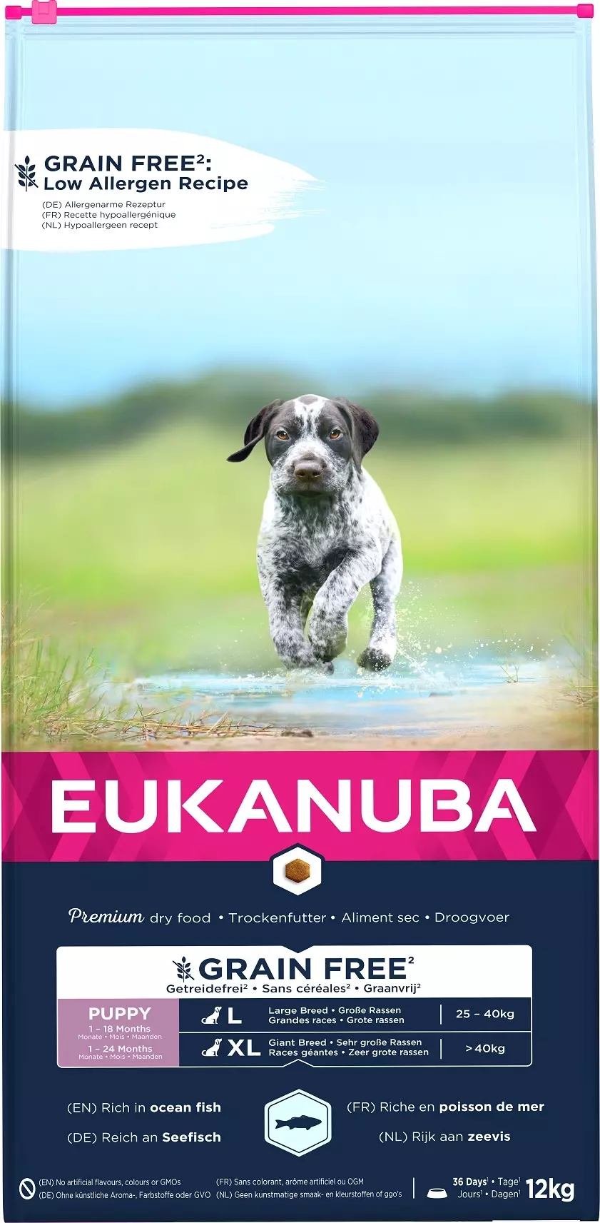 Eukanuba puppy large breed 12kg best sale