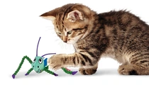 Kong Kattenspeelgoed crackles grasshopper sprinkhaan - afbeelding 2