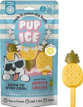 Pup ice fruit lollie ananas hondenijsje