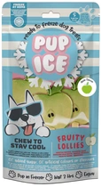 Pup ice fruit lollie appel hondenijsje