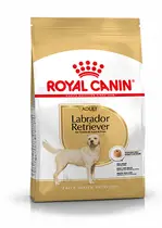 Royal Canin labrador retriever adult 12 kg Hondenvoer - afbeelding 1