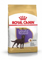 Royal Canin labrador retriever sterilised 12 kg Hondenvoer