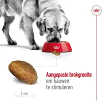 Royal Canin maxi adult 15kg+3kg gratis bonusbag - afbeelding 4