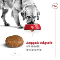 Royal Canin maxi adult 5+ 15kg Hondenvoer - afbeelding 3