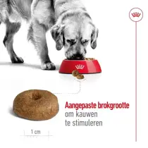 Royal Canin maxi ageing 8+ 15 kg Hondenvoer - afbeelding 3