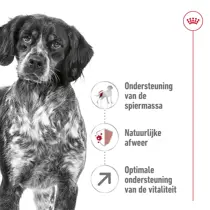 Royal Canin medium adult 7+ 15kg Hondenvoer - afbeelding 2