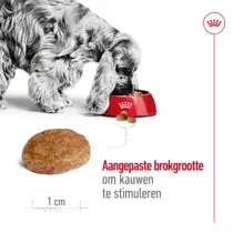 Royal Canin medium adult 7+ 15kg Hondenvoer - afbeelding 3