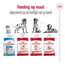 Royal Canin medium adult 7+ 15kg Hondenvoer - afbeelding 4