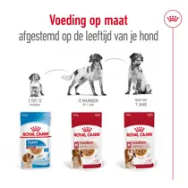 Royal Canin medium adult wet 10x140 gram Hondenvoer - afbeelding 4