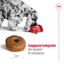 Royal Canin medium ageing 10+ 15kg Hondenvoer - afbeelding 3