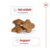 Royal Canin mini adult 8+ 2kg Hondenvoer - afbeelding 2