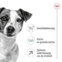 Royal Canin mini adult 8+ 2kg Hondenvoer - afbeelding 3