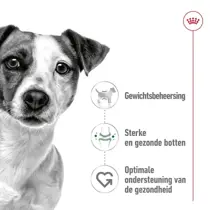 Royal Canin mini adult 8kg+1kg gratis bonusbag - afbeelding 4