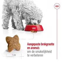 Royal Canin mini adult 8kg+1kg gratis bonusbag - afbeelding 5