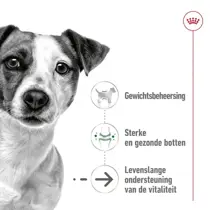 Royal Canin mini ageing 12+ 1,5kg Hondenvoer - afbeelding 3