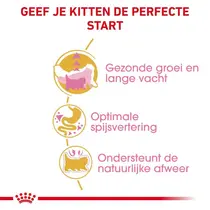 Royal Canin persian kitten 10 kg Kattenvoer - afbeelding 3