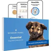 Wisdom panel essential dna test voor honden